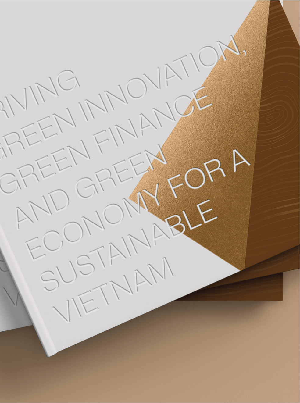 Vietcombank Annual Report Concept 2024